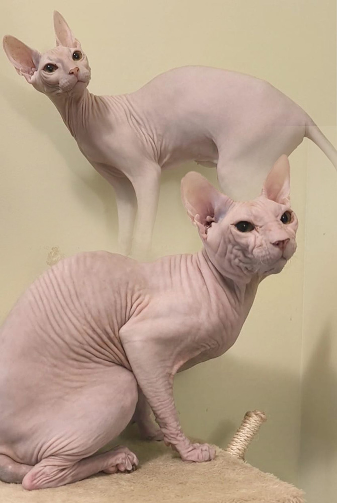 Удита и Питер